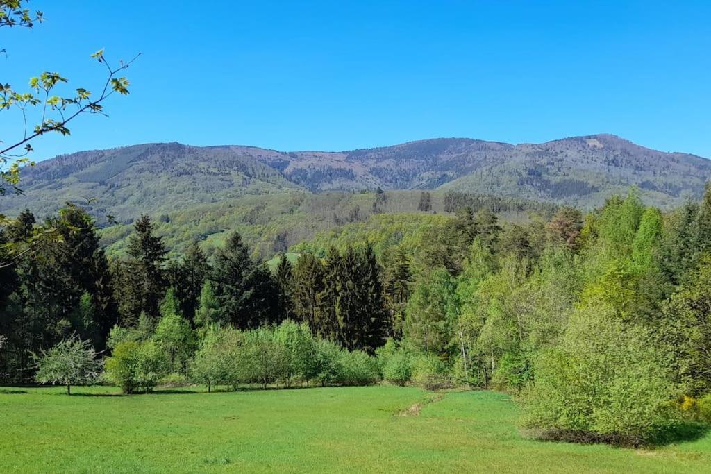 Gîte Le Villois à Villé Centre Alsace Extérieur photo
