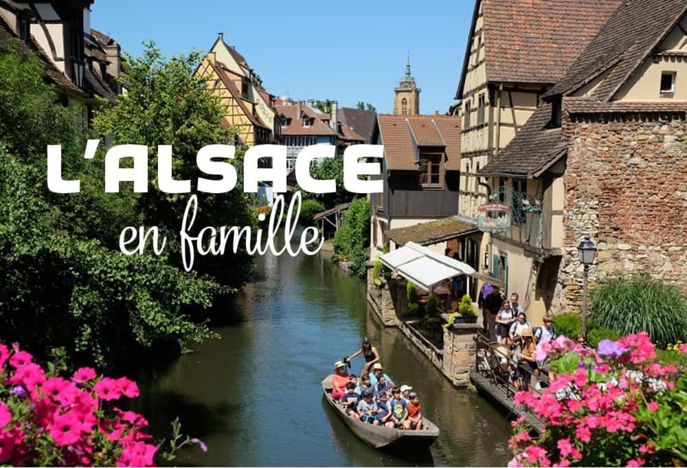 Gîte Le Villois à Villé Centre Alsace Extérieur photo