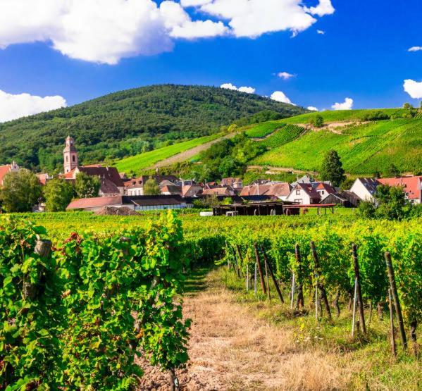 Gîte Le Villois à Villé Centre Alsace Extérieur photo