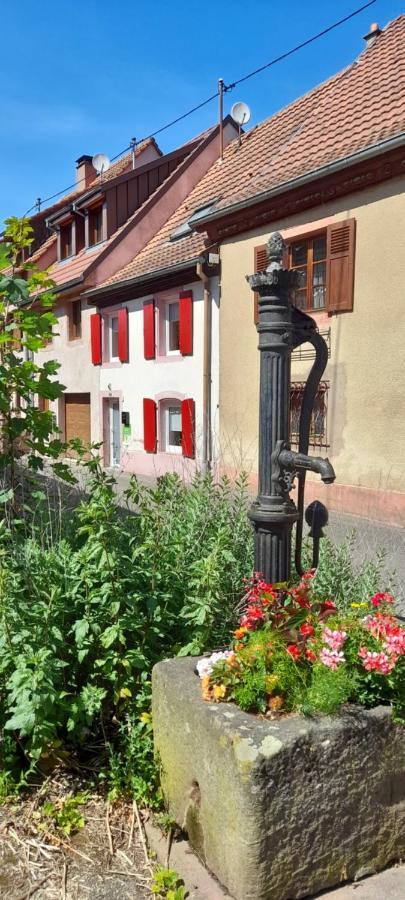 Gîte Le Villois à Villé Centre Alsace Extérieur photo